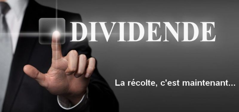 Tribune : Problématique de la distribution des dividendes en droit Ohada, par *Me Daniel Kalonji