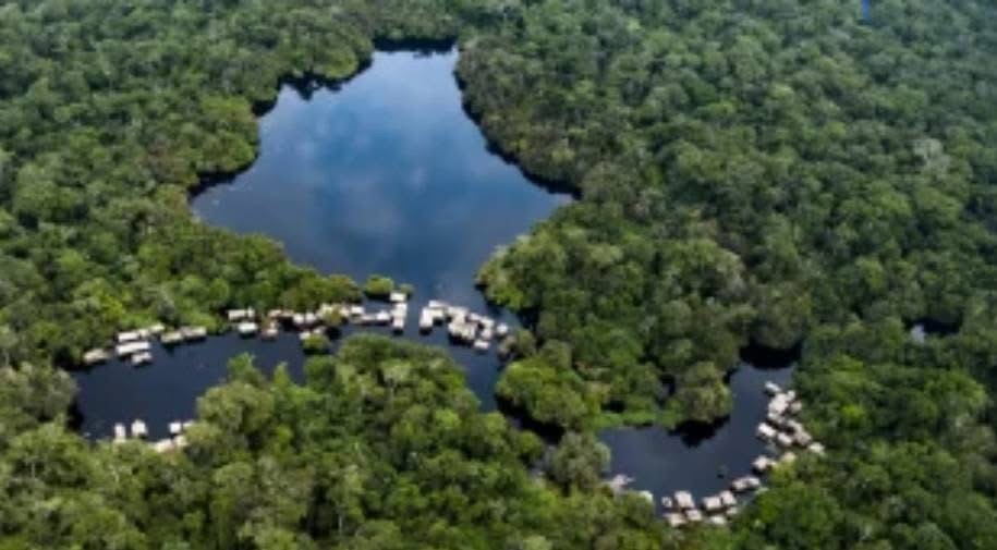 Couloir Vert : Bientôt un pont forestier entre Kinshasa et Kivu !