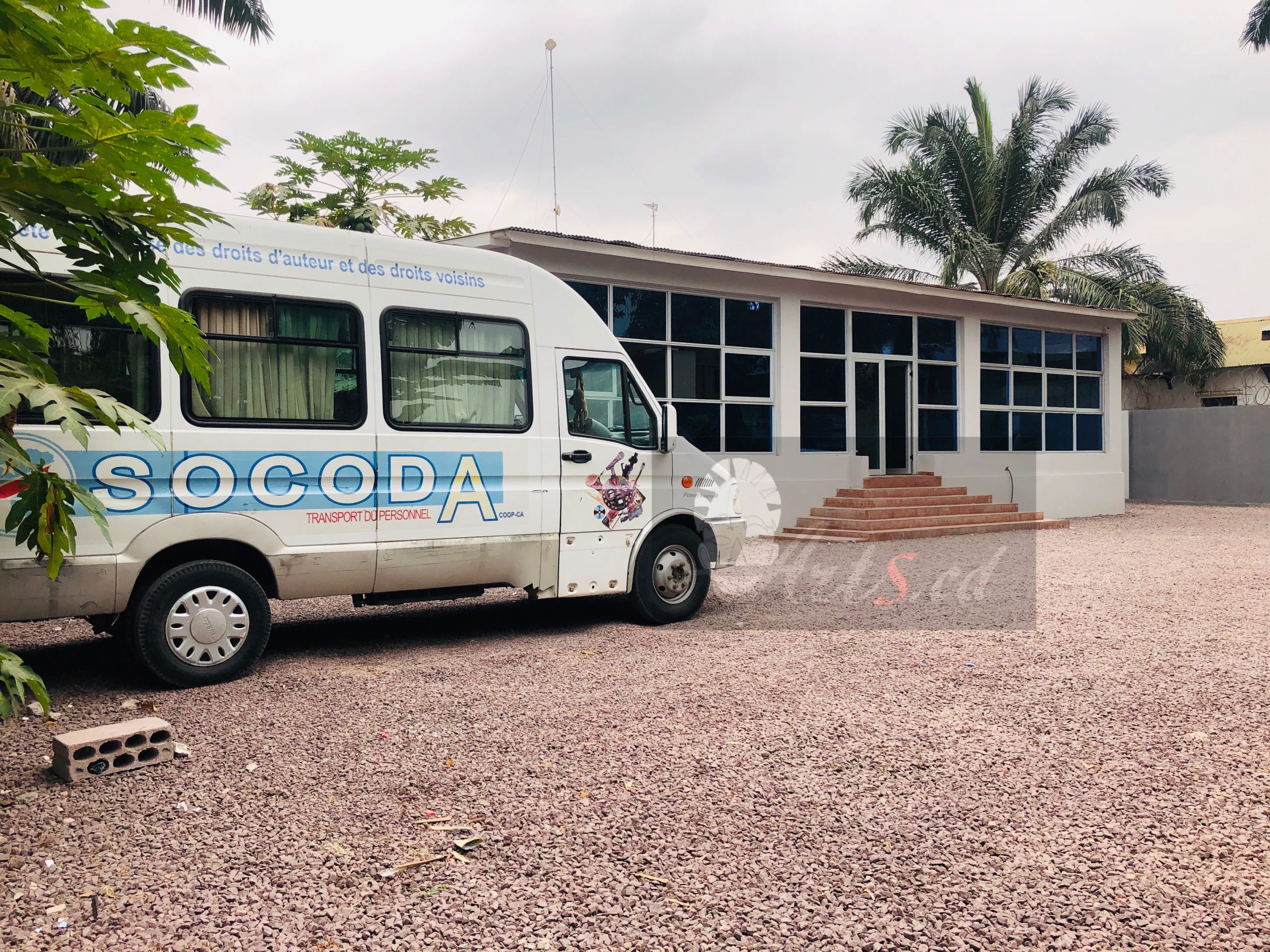 SOCODA : Les sociétaires contestent l’arrêt du Président de la cour d’appel annulant le PV de démission de Verkys Kiamwangana