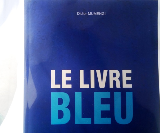 «Livre bleu», les 34 projets de Mumengi pour « doper » la RDC !