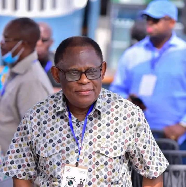 La RDCongo appelée à réécrire sa constitution et son histoire, Isidore Ndaywel