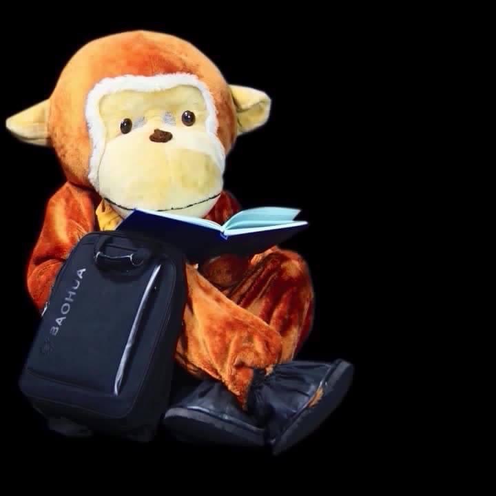 Concert pour enfants: Kiki Teacher fête Noël au Showbuzz