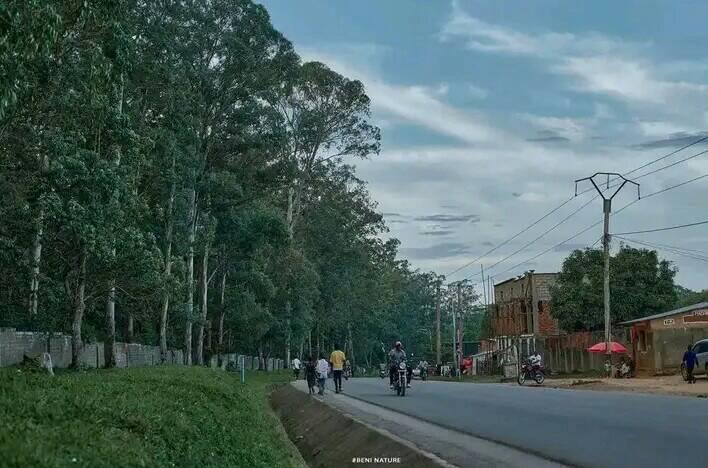 Gouvernance communautaire :  654 conflits recensés entre tribus et ethnies du Nord-Kivu !