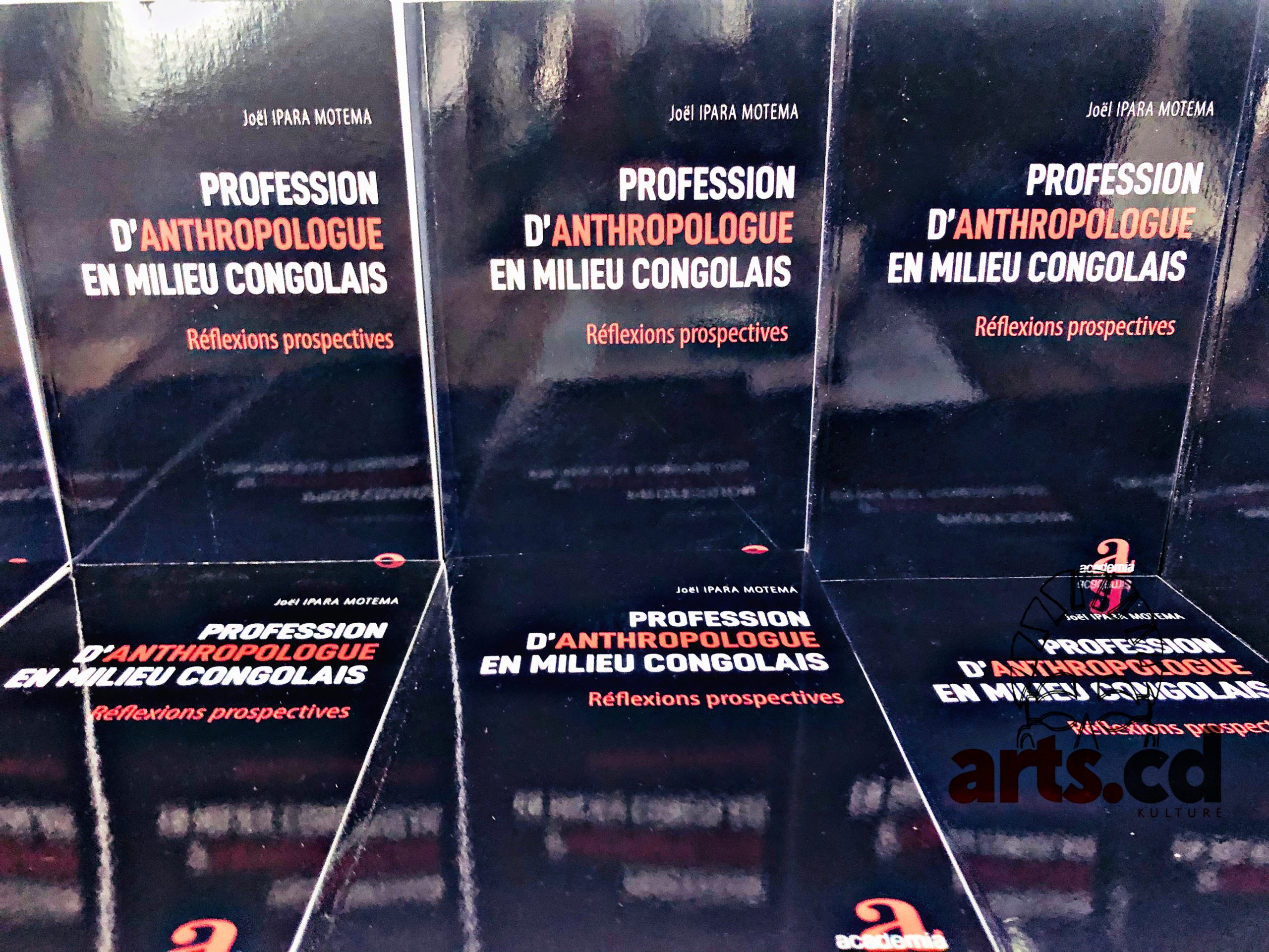 « Profession d’anthropologue en milieu congolais, réflexions et perspectives »