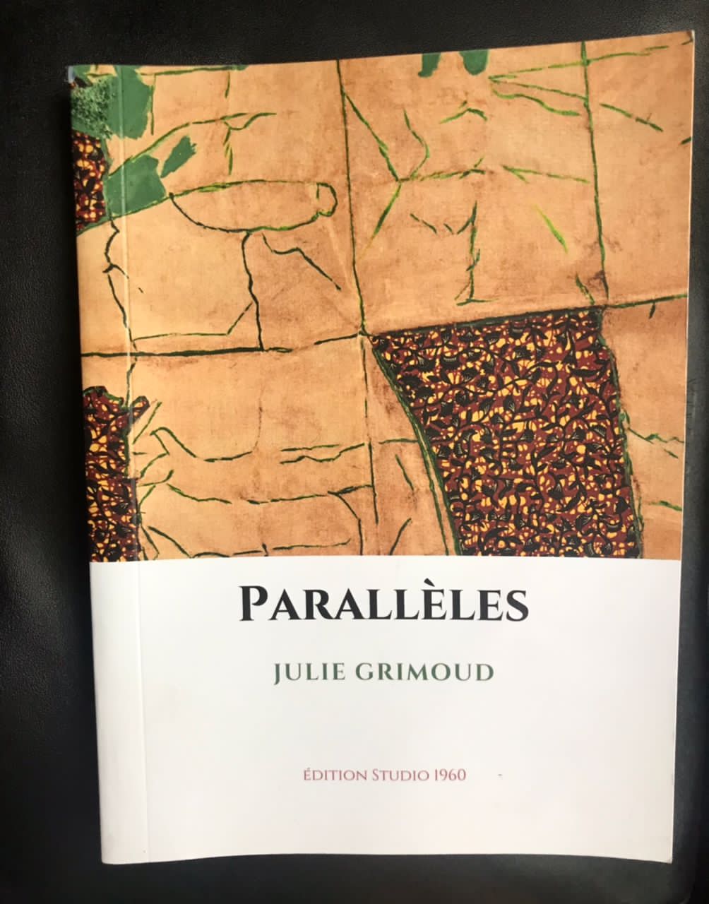 Vient de paraître : L’ouvrage «Parallèles» de Julie Grimoud