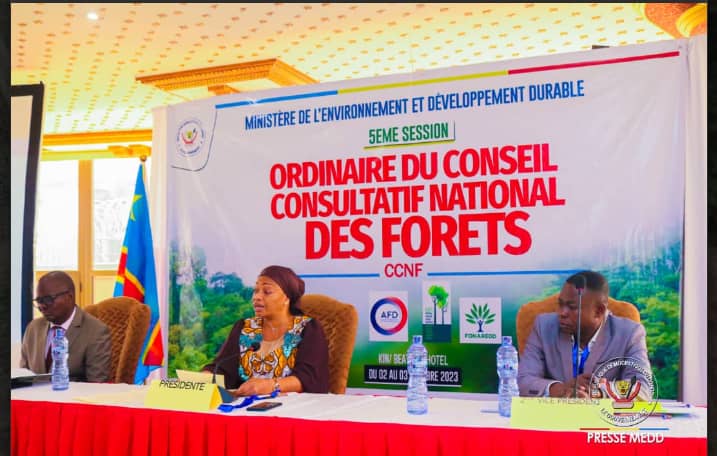 Environnement : Vers le renforcement de la gestion forestière durable