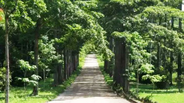 Festival du Jardin, un moyen de repenser l’ornement de la ville !