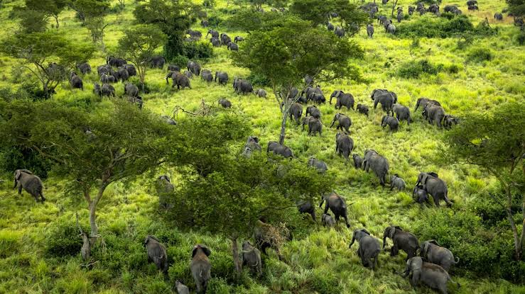 Nord-Kivu : Le projet Alliance Virunga clôture sa 4eme édition à Goma
