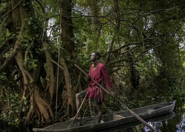 Expo: Des tableaux sur la forêt du Congo au menu !