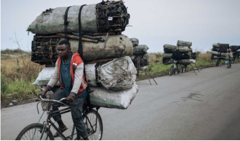 Cinéma : Un documentaire rend hommage aux « Bayanda », transporteurs à vélo du Kasaï-Oriental