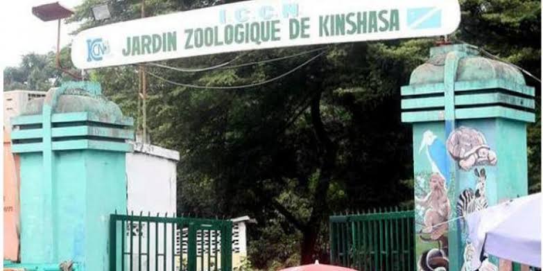Tourisme : Lancement des travaux de réhabilitation du Jardin Zoologique de Kinshasa