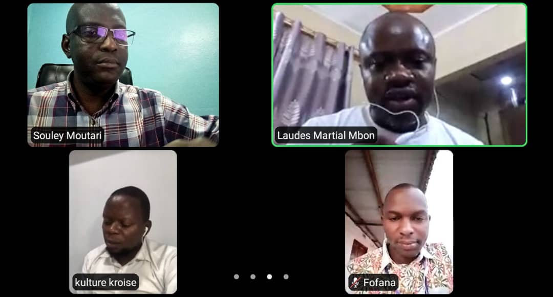 Webinaire sur la restitution des biens culturels aux pays d’Afrique : des Journalistes Africains discutent sur les défis liés au processus